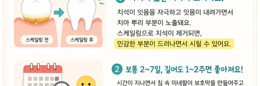 [언주역치과, 논현동치과, 강남치과 추천] 🦷 “스케일링 했는데 시린 이유”— 이거 괜찮은 걸까요? 😥